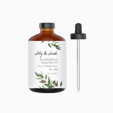 Eucaliptus Essential Oil for Aromatherapy